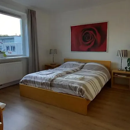 Luxury Villa, Free Parking, Close To The Center Den Haag